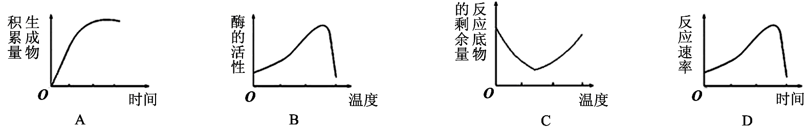 from clipboard