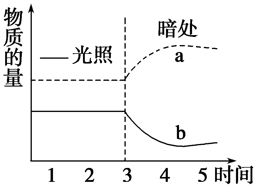 YAWEN OFFICE