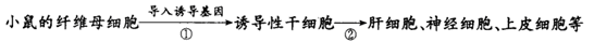 YAWEN OFFICE YAWEN OFFICE