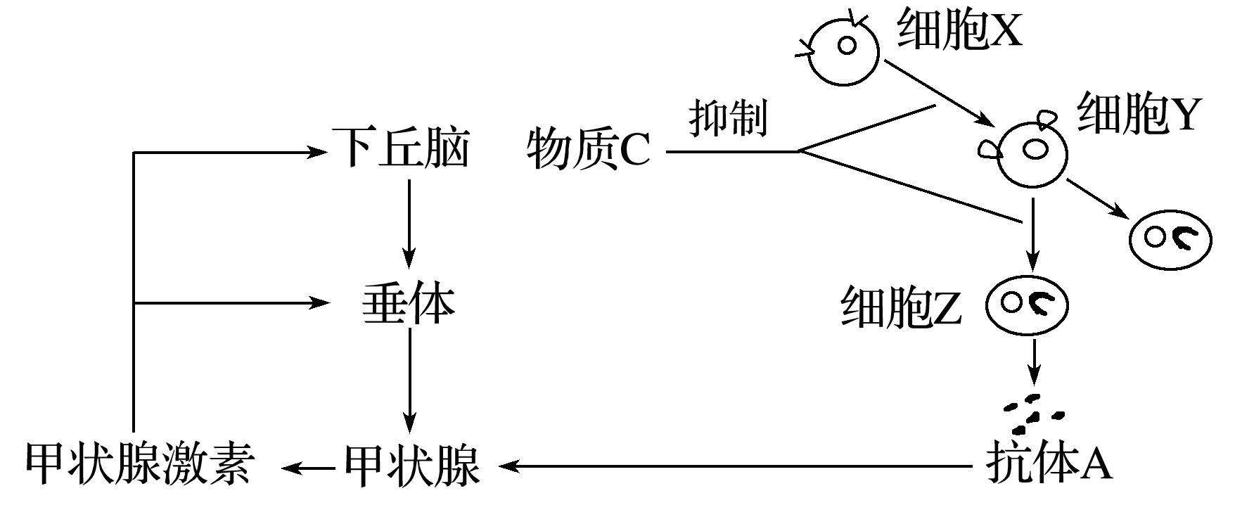 YAWEN OFFICE