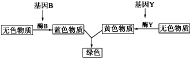 YAWEN OFFICE YAWEN OFFICE