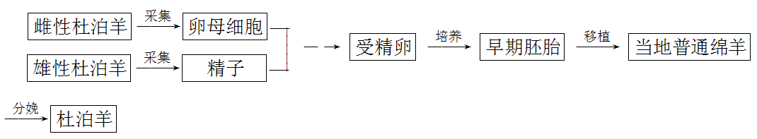 YAWEN OFFICE YAWEN OFFICE