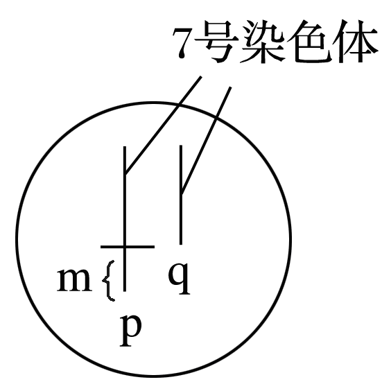 YAWEN OFFICE