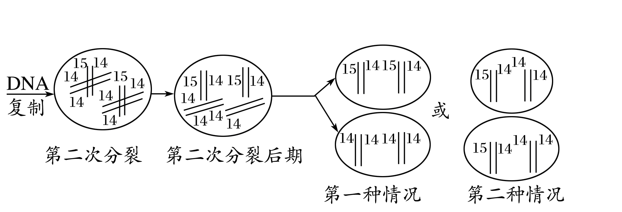YAWEN OFFICE