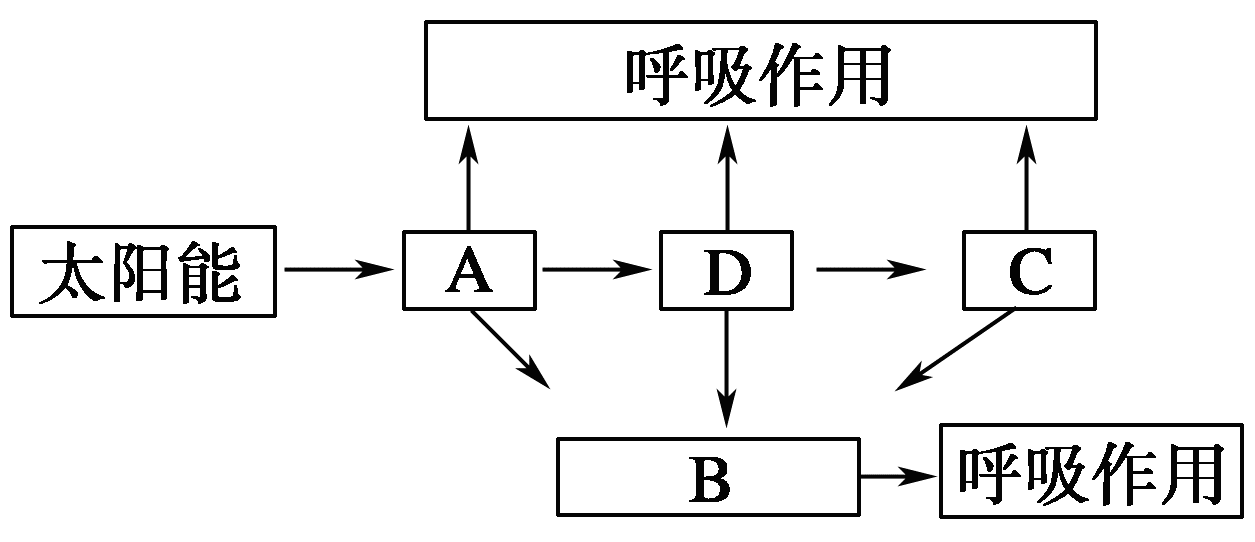 YAWEN OFFICE