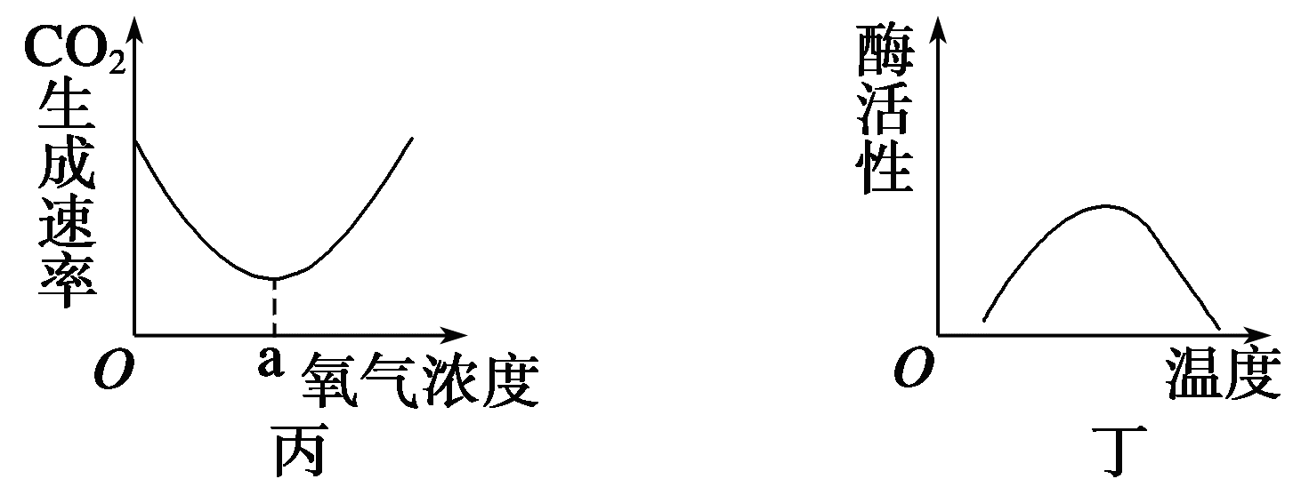 YAWEN OFFICE