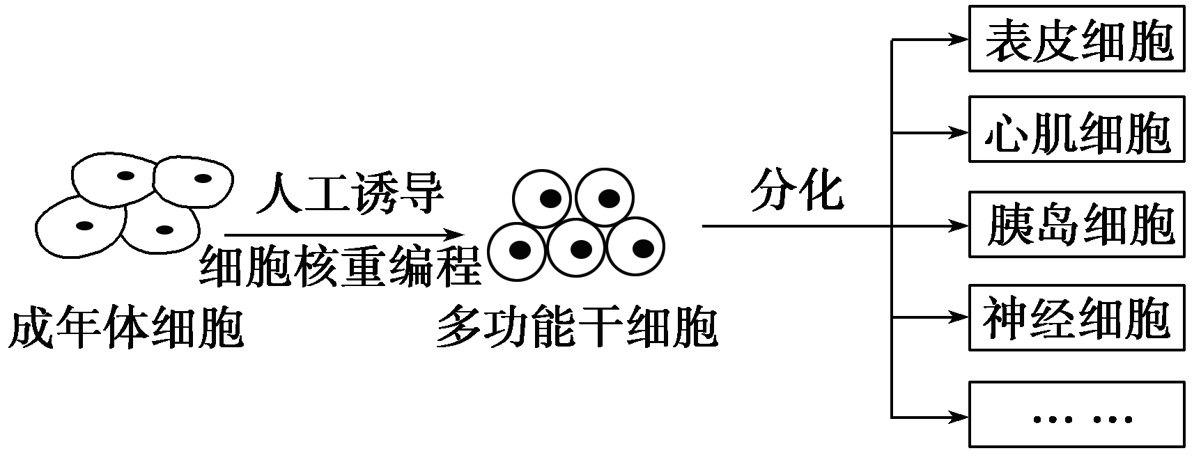 YAWEN OFFICE YAWEN OFFICE