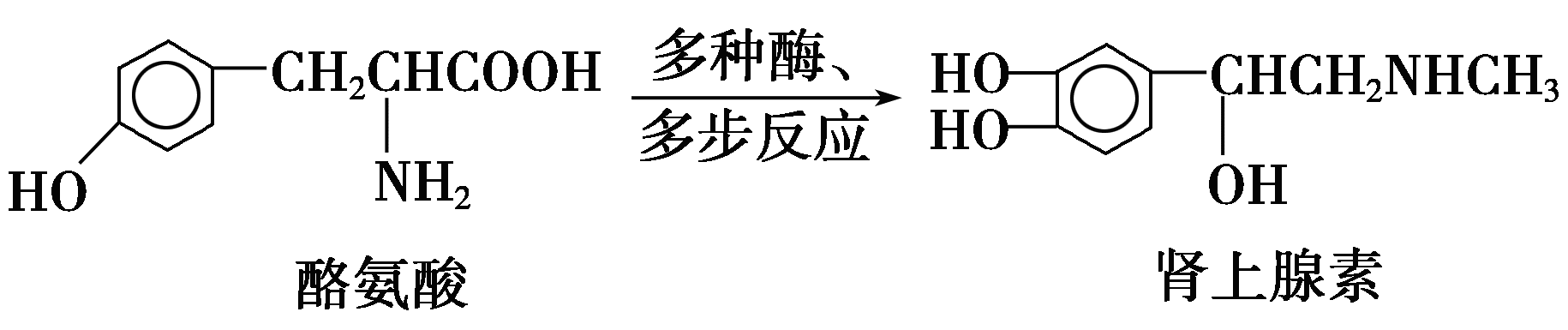 YAWEN OFFICE YAWEN OFFICE