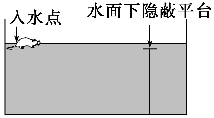 YAWEN OFFICE YAWEN OFFICE