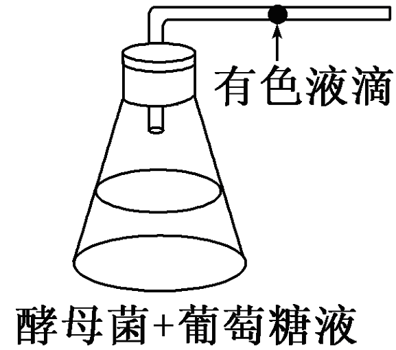 YAWEN OFFICE YAWEN OFFICE