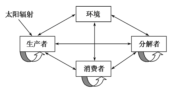 YAWEN OFFICE YAWEN OFFICE