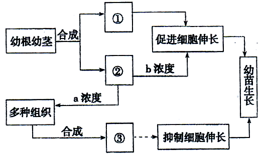 YAWEN OFFICE