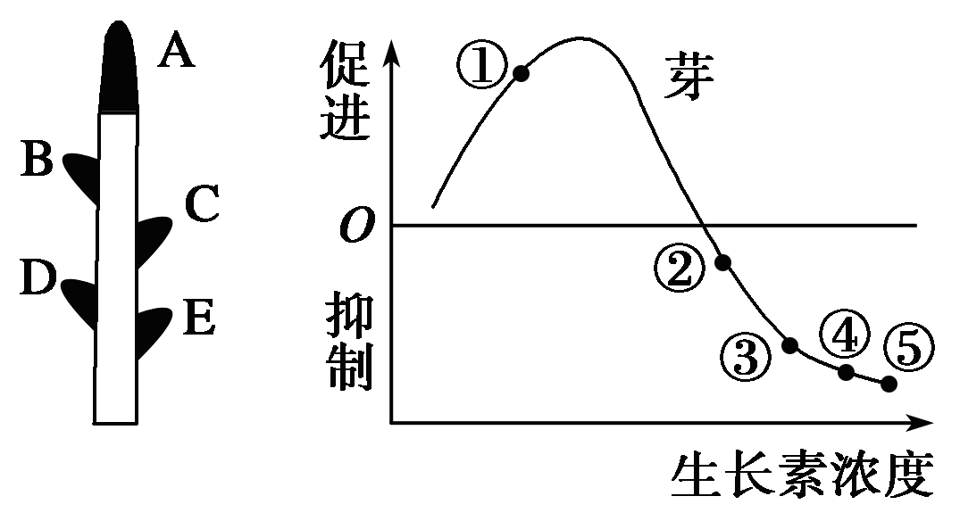 YAWEN OFFICE YAWEN OFFICE