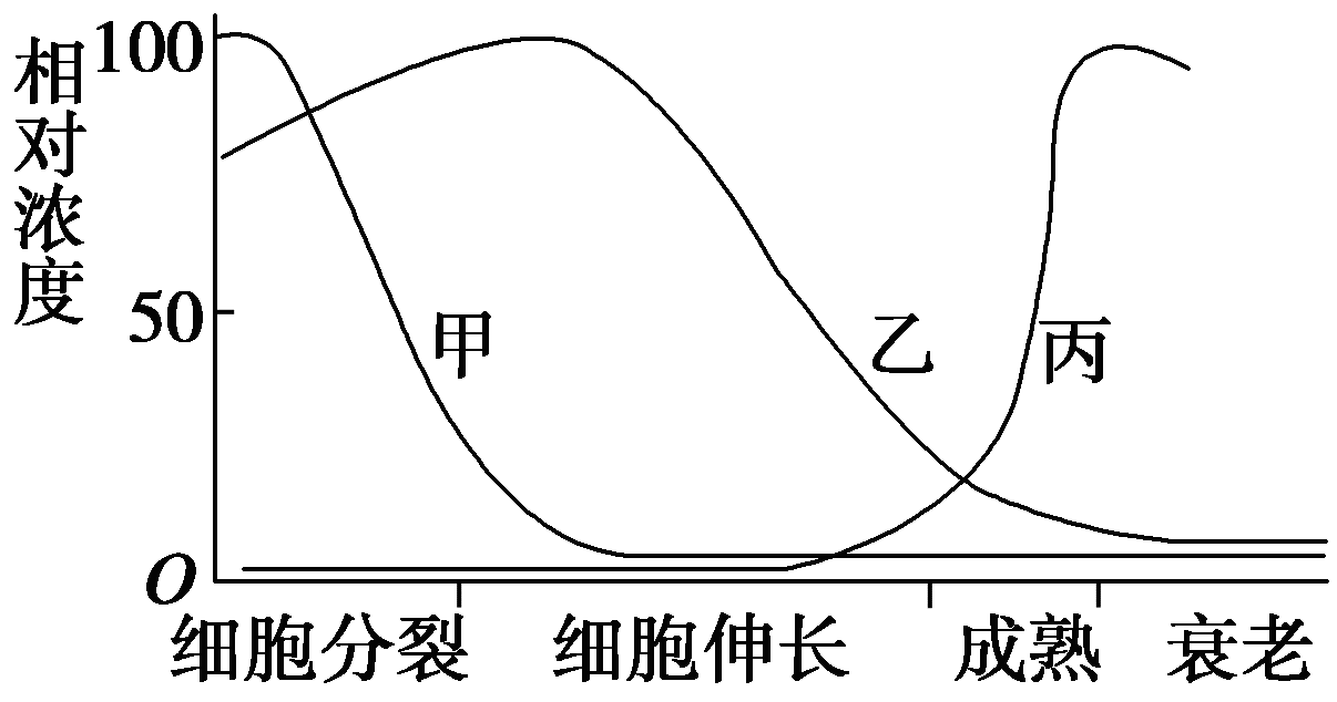 YAWEN OFFICE YAWEN OFFICE