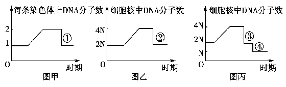YAWEN OFFICE YAWEN OFFICE