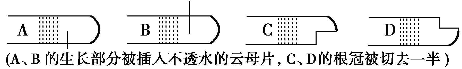 YAWEN OFFICE YAWEN OFFICE
