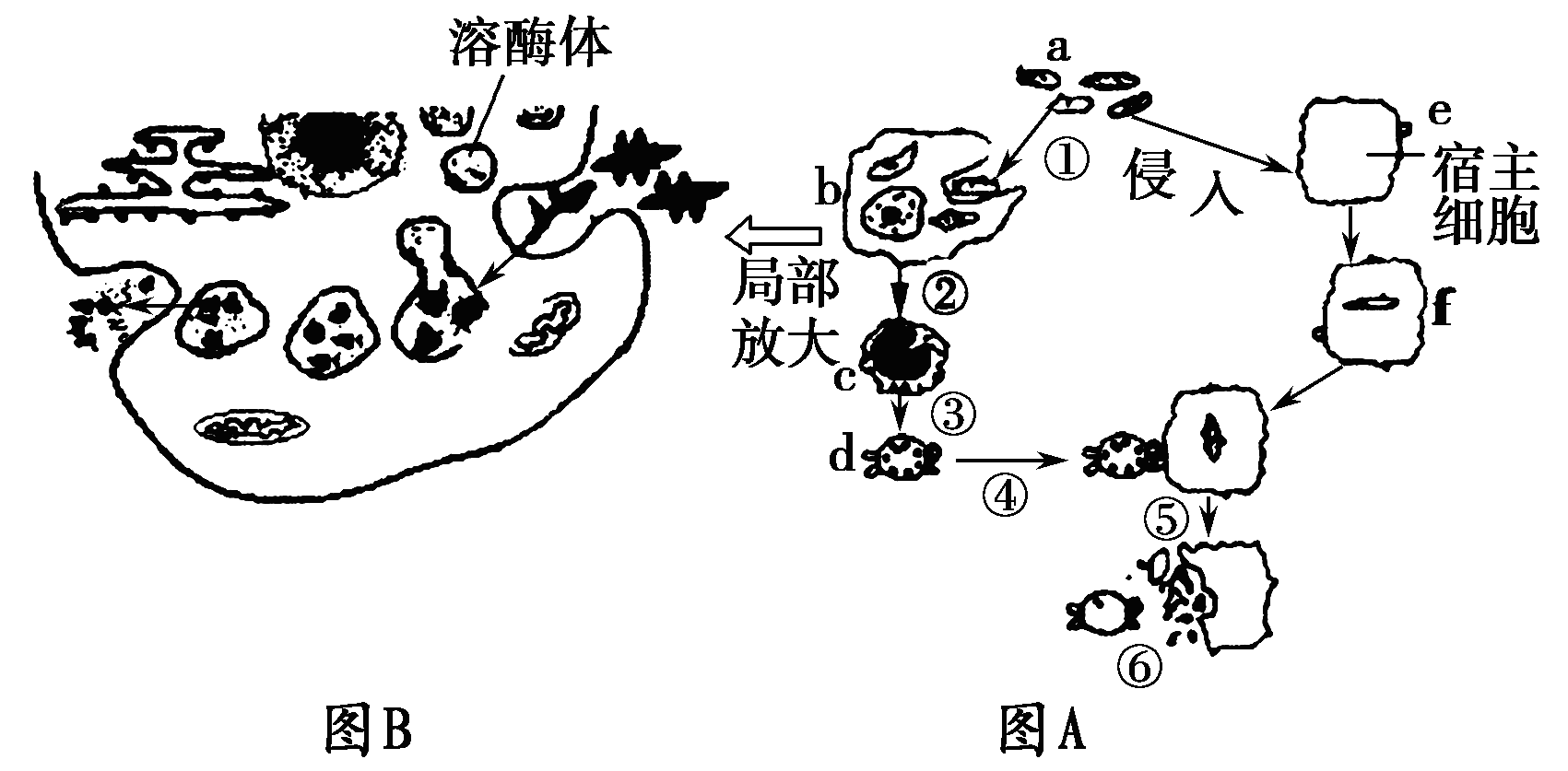 YAWEN OFFICE YAWEN OFFICE