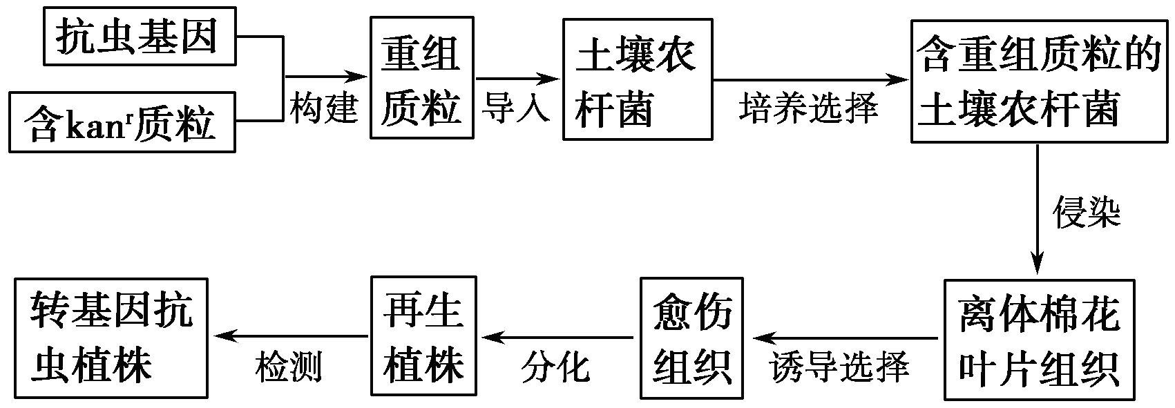 YAWEN OFFICE