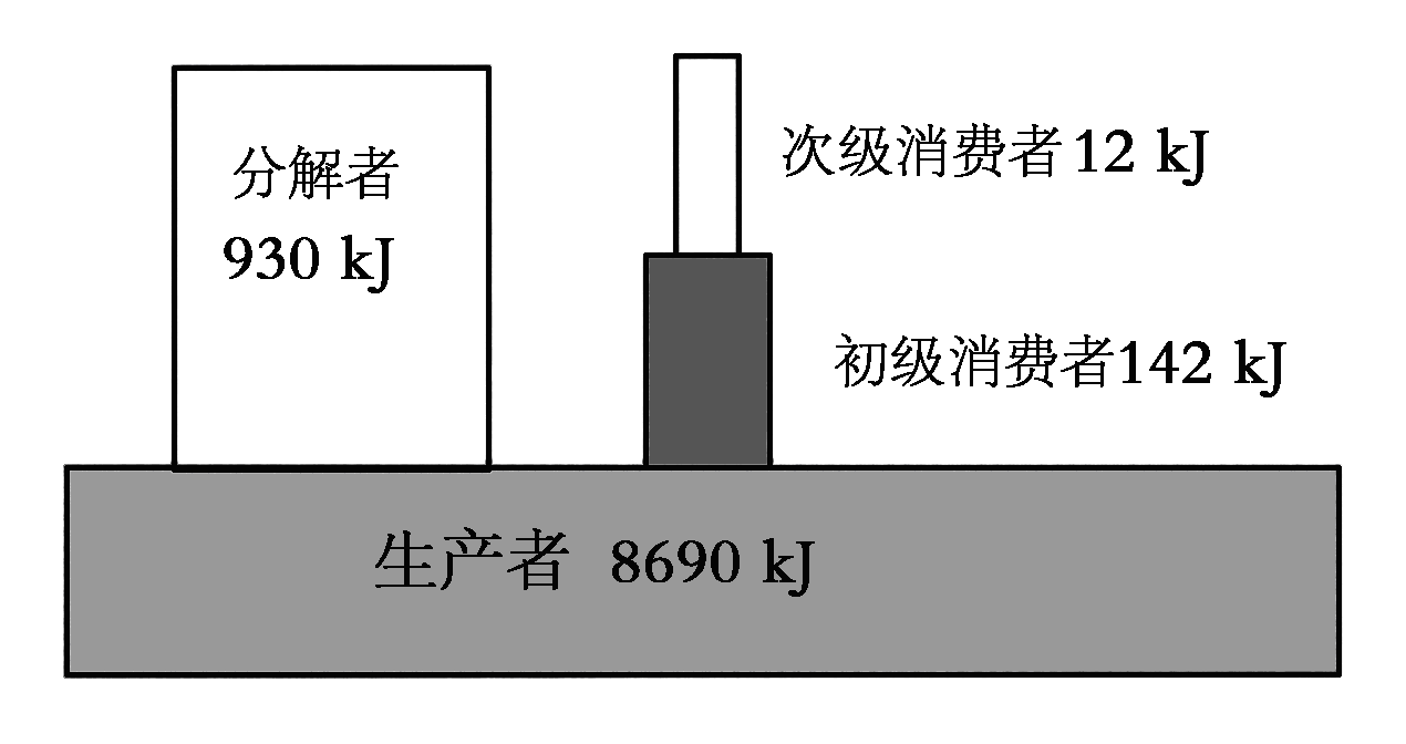 YAWEN OFFICE