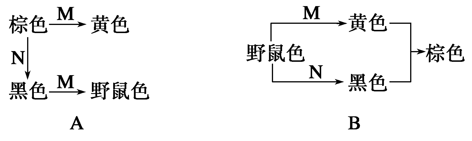 YAWEN OFFICE