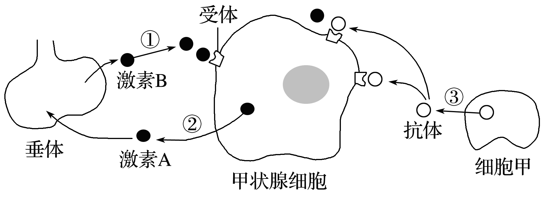 YAWEN OFFICE