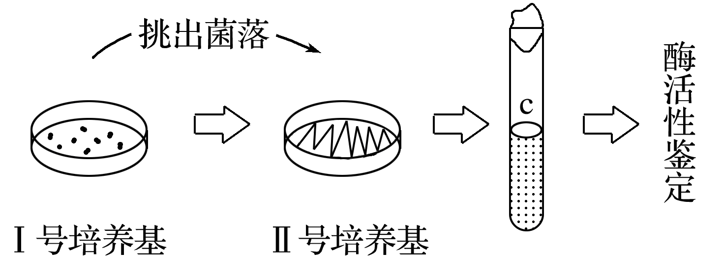 YAWEN OFFICE