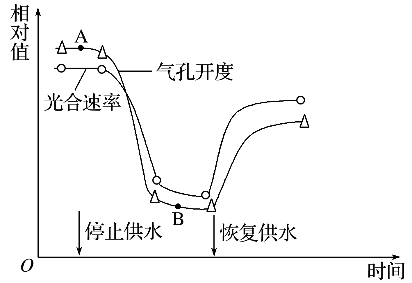 YAWEN OFFICE