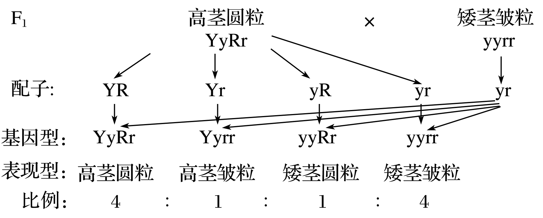 YAWEN OFFICE YAWEN OFFICE