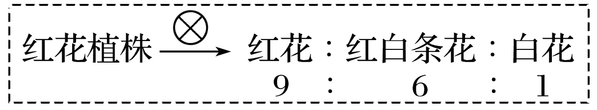 YAWEN OFFICE