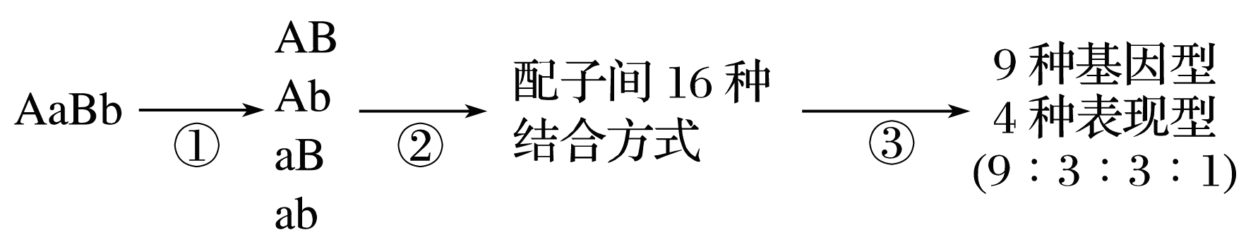 YAWEN OFFICE