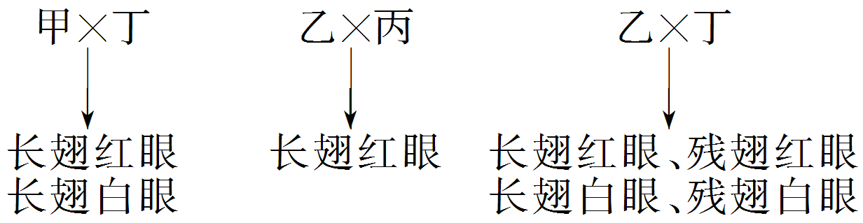 YAWEN OFFICE YAWEN OFFICE