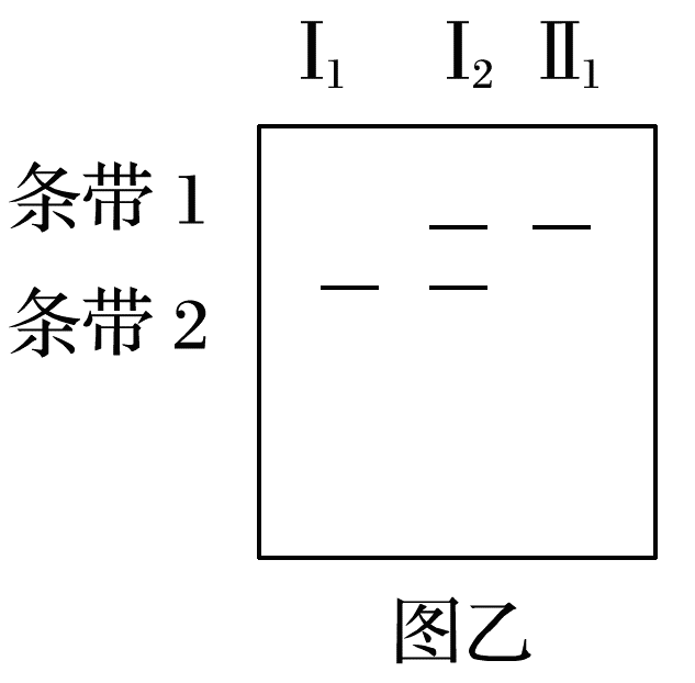 YAWEN OFFICE YAWEN OFFICE