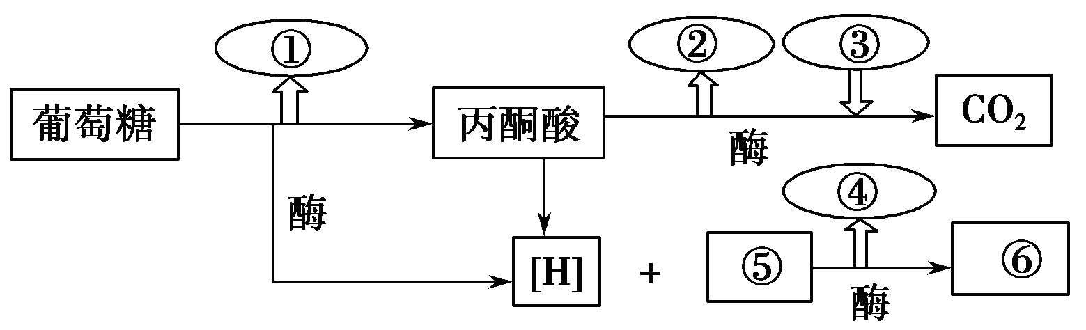 YAWEN OFFICE
