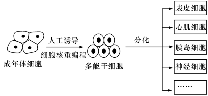 YAWEN OFFICE YAWEN OFFICE