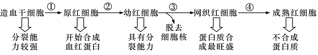 YAWEN OFFICE YAWEN OFFICE