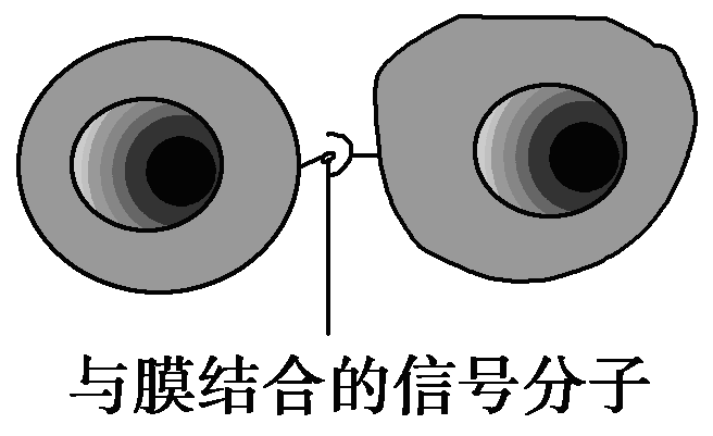 YAWEN OFFICE