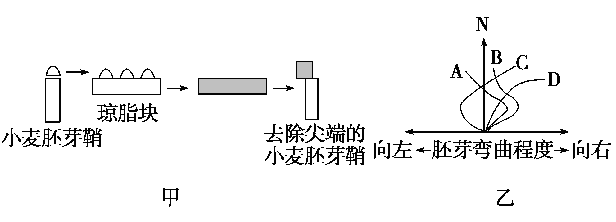 YAWEN OFFICE YAWEN OFFICE