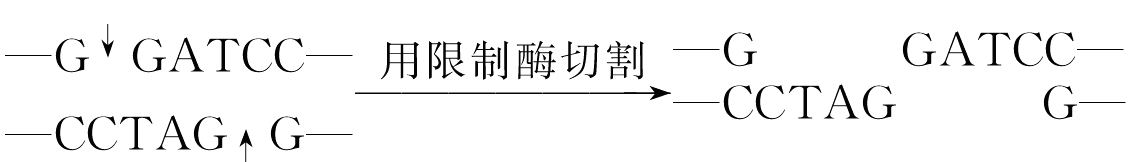 YAWEN OFFICE YAWEN OFFICE
