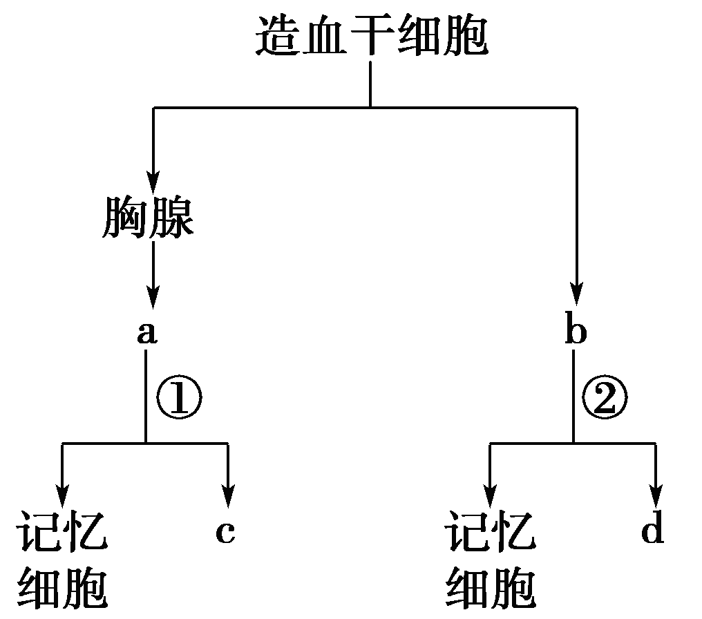 YAWEN OFFICE YAWEN OFFICE