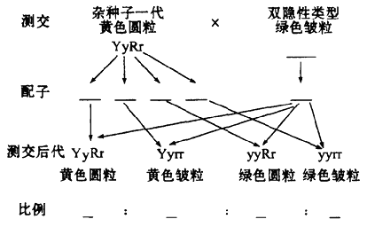 YAWEN OFFICE YAWEN OFFICE