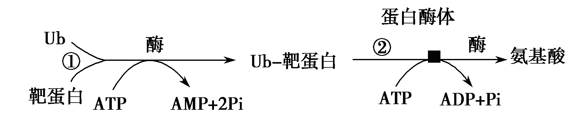 YAWEN OFFICE YAWEN OFFICE