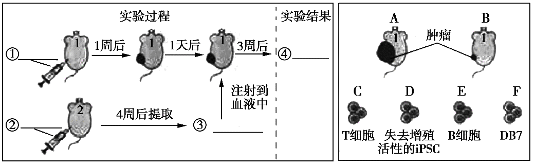 YAWEN OFFICE YAWEN OFFICE