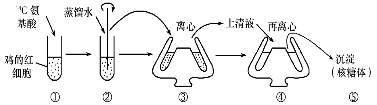 YAWEN OFFICE