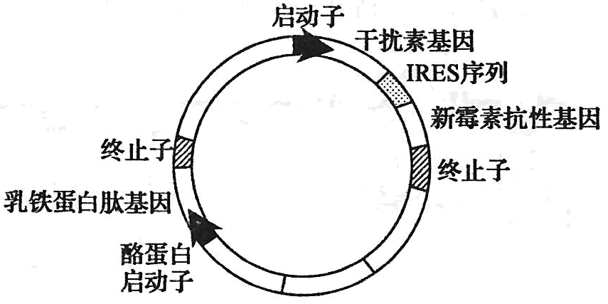 Yangzhong Teaching Studio