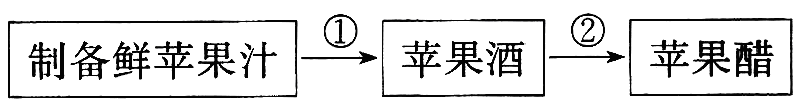 Yangzhong Teaching Studio Yangzhong Teaching Studio