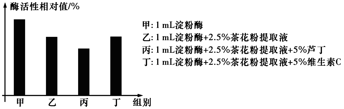Yangzhong Teaching Studio