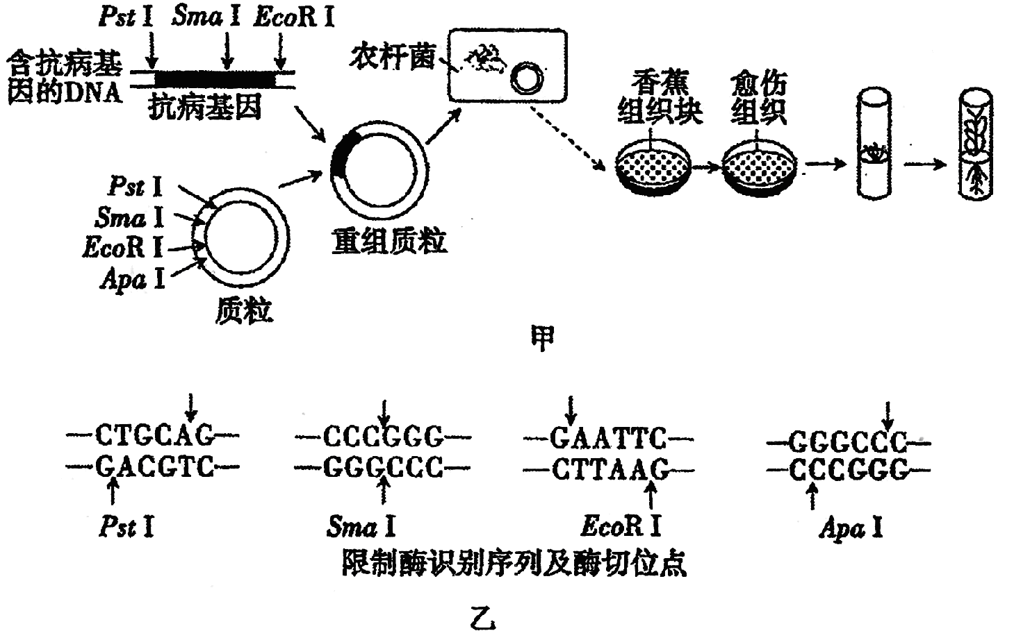 Yangzhong Teaching Studio
