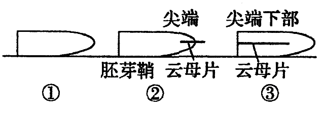 Yangzhong Teaching Studio Yangzhong Teaching Studio