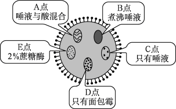 Yangzhong Teaching Studio