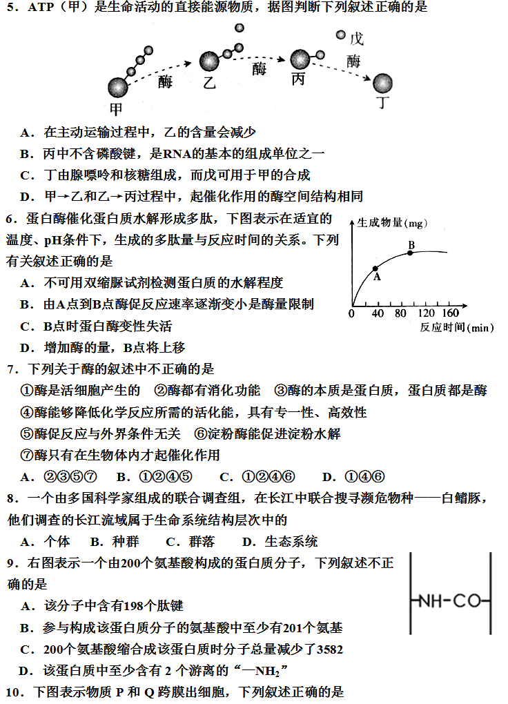 Yangzhong Teaching Studio